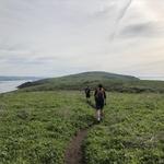 Hike in Point Reyes National Seashore