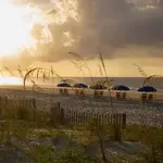 Beaches