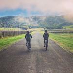 Sonoma Valley Bike Tours & Rentals