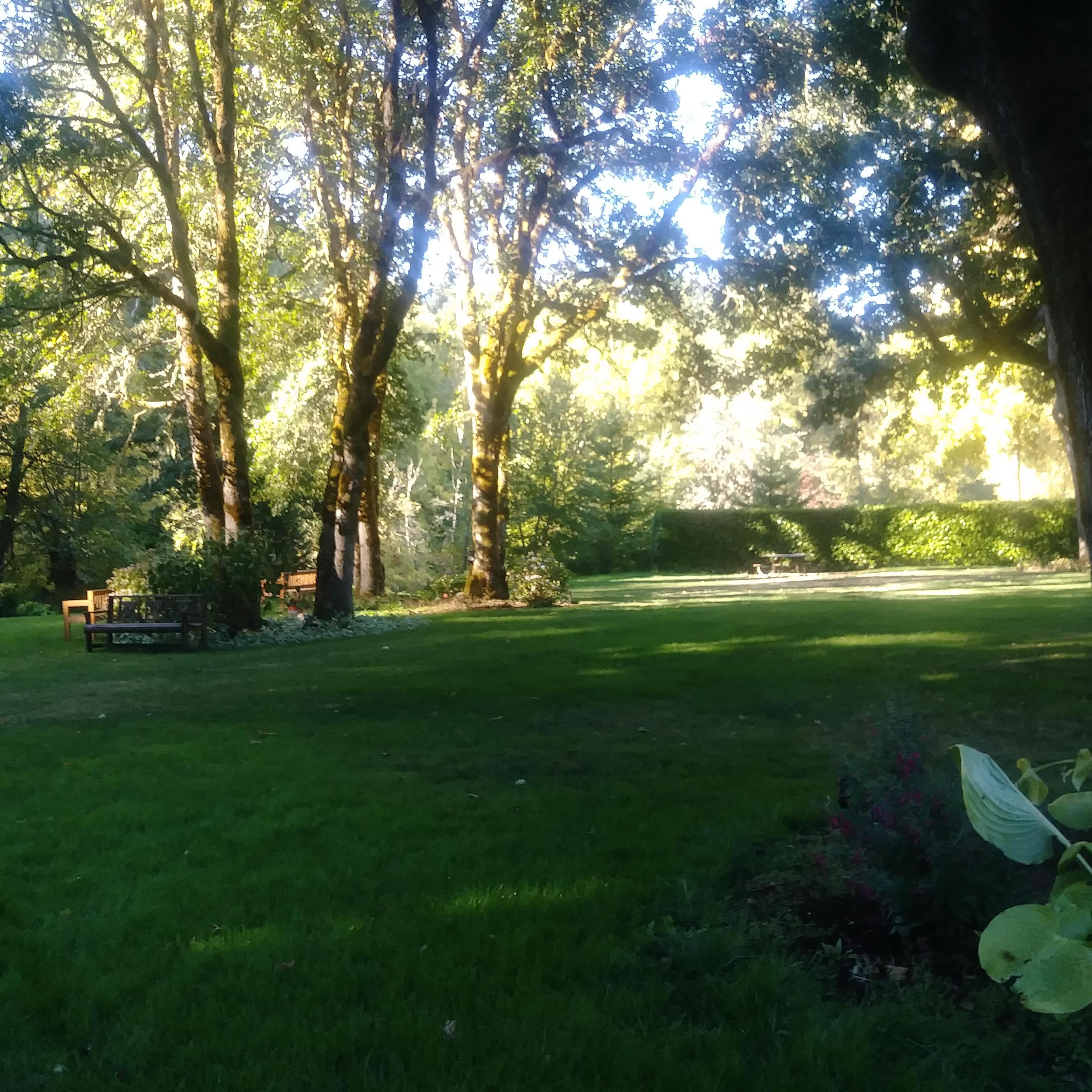 Plenty of lawn space for tables, dancing and lawn games!