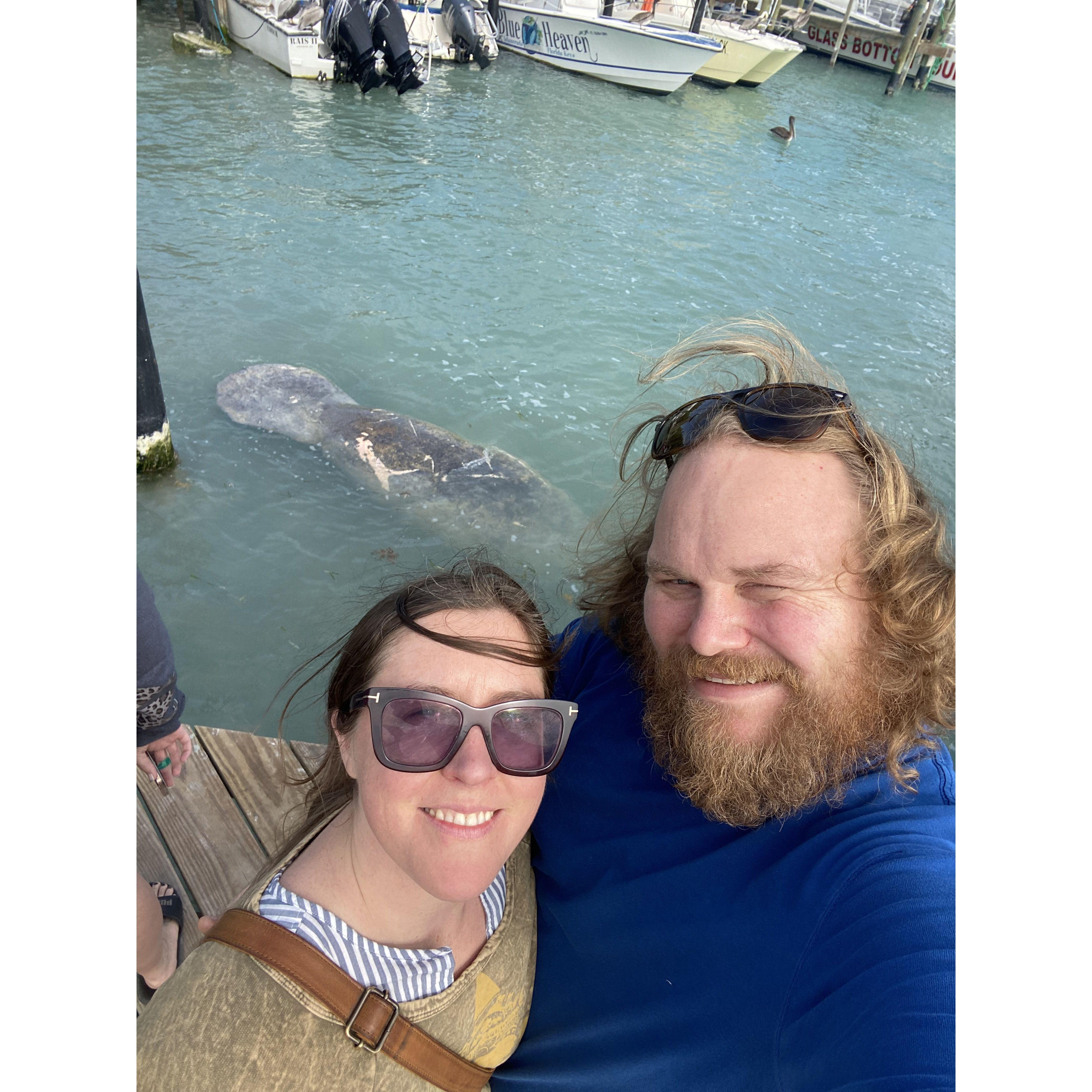 I think the Manatee is also in favor of Adam getting a beard trim and haircut here!