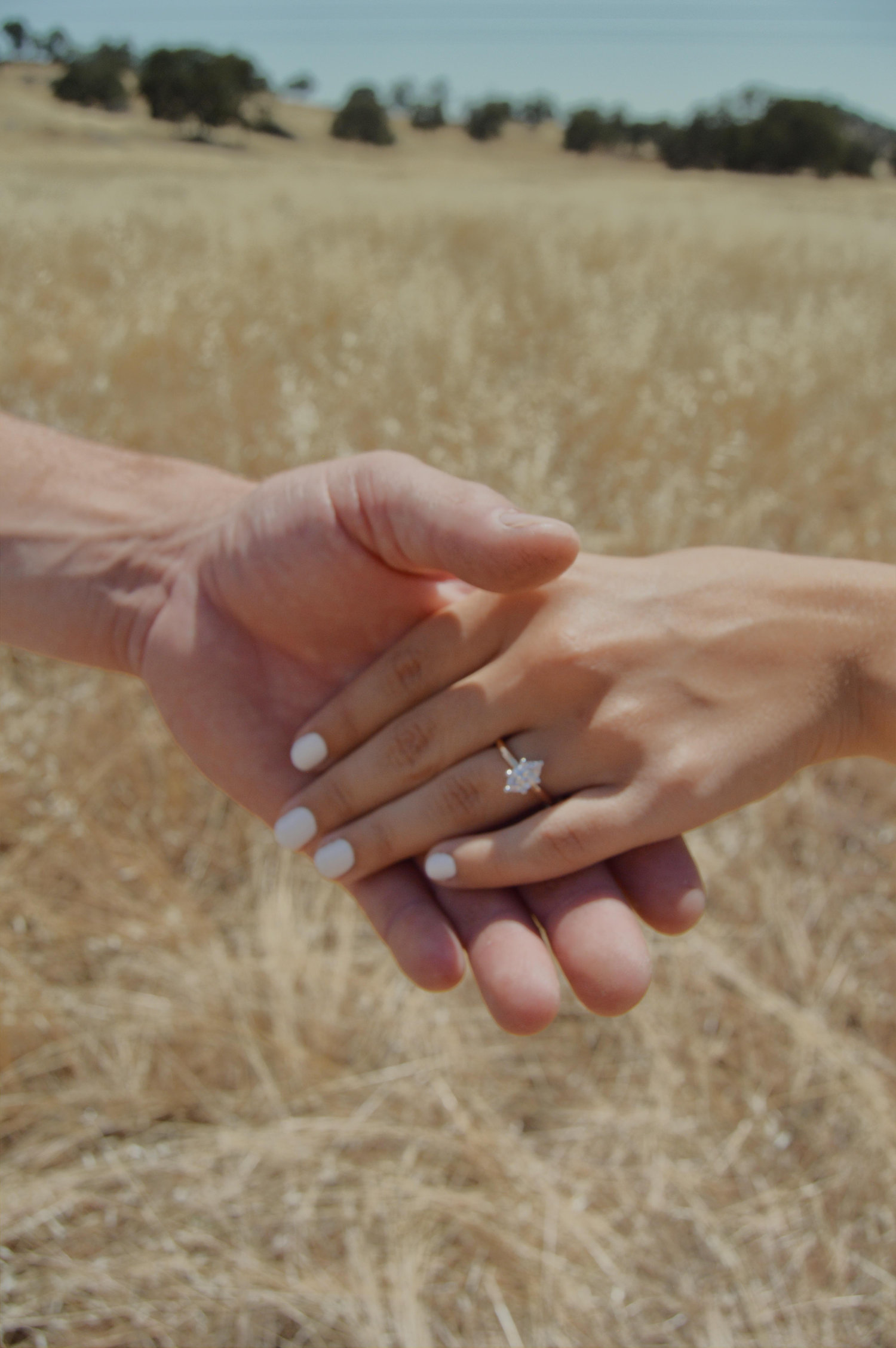 The Wedding Website of Isabella Rodriguez and Dallas Kreider