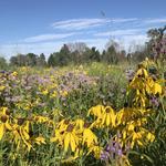 The Highlands Nature Preserve