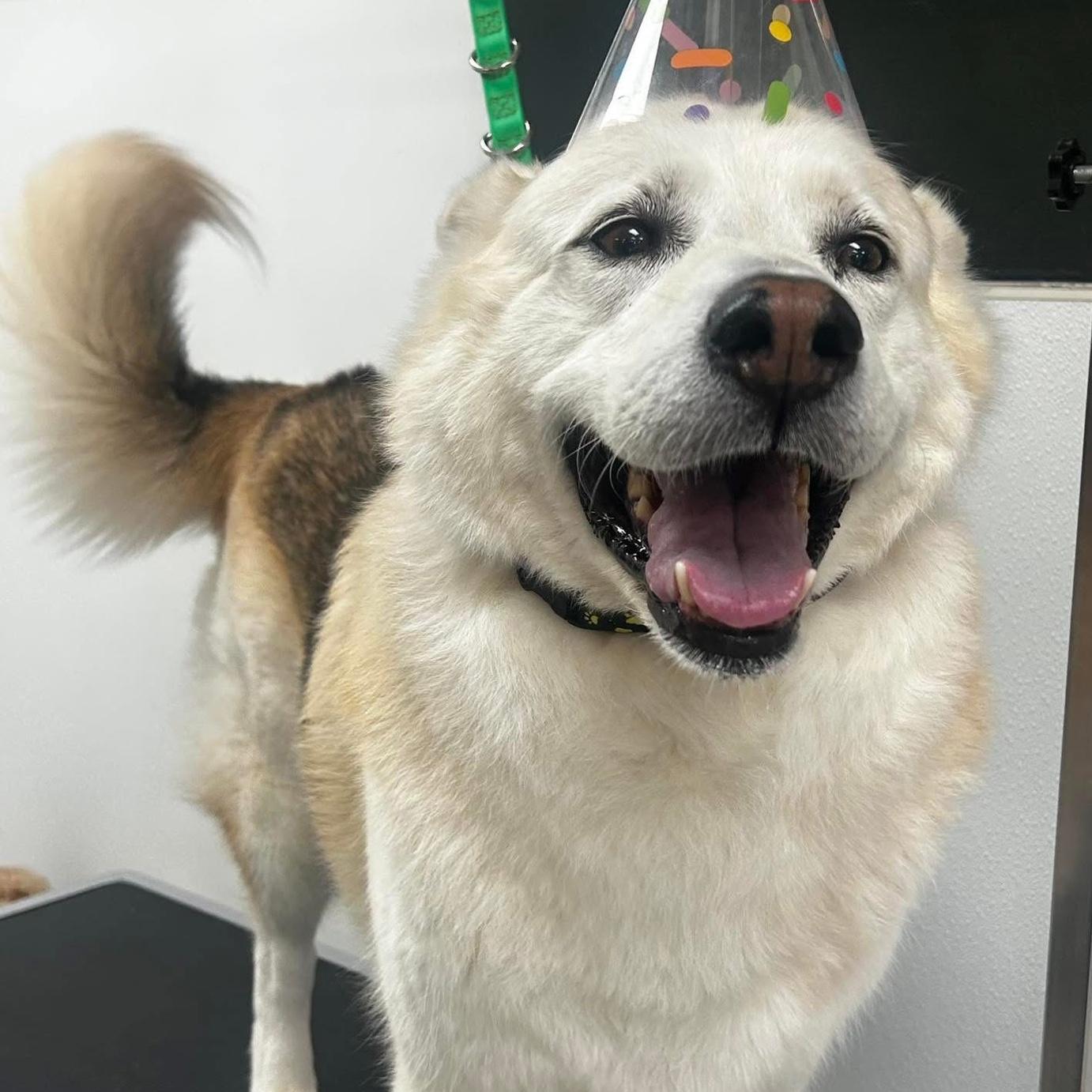 Birthday Jackson
