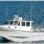 Cape Cod Charter Fishing