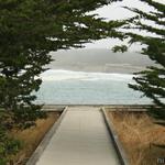 Mackerricher State Park