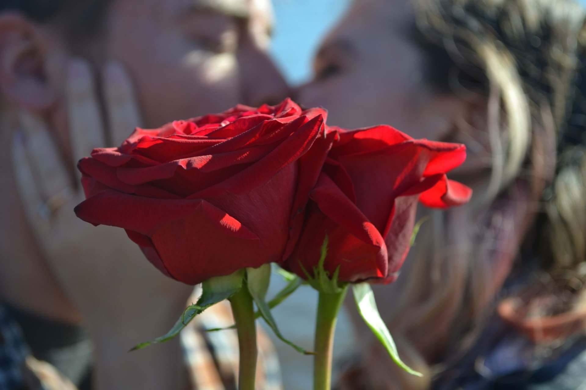 The Wedding Website of Kristen Condon and Daniel Murter Jr