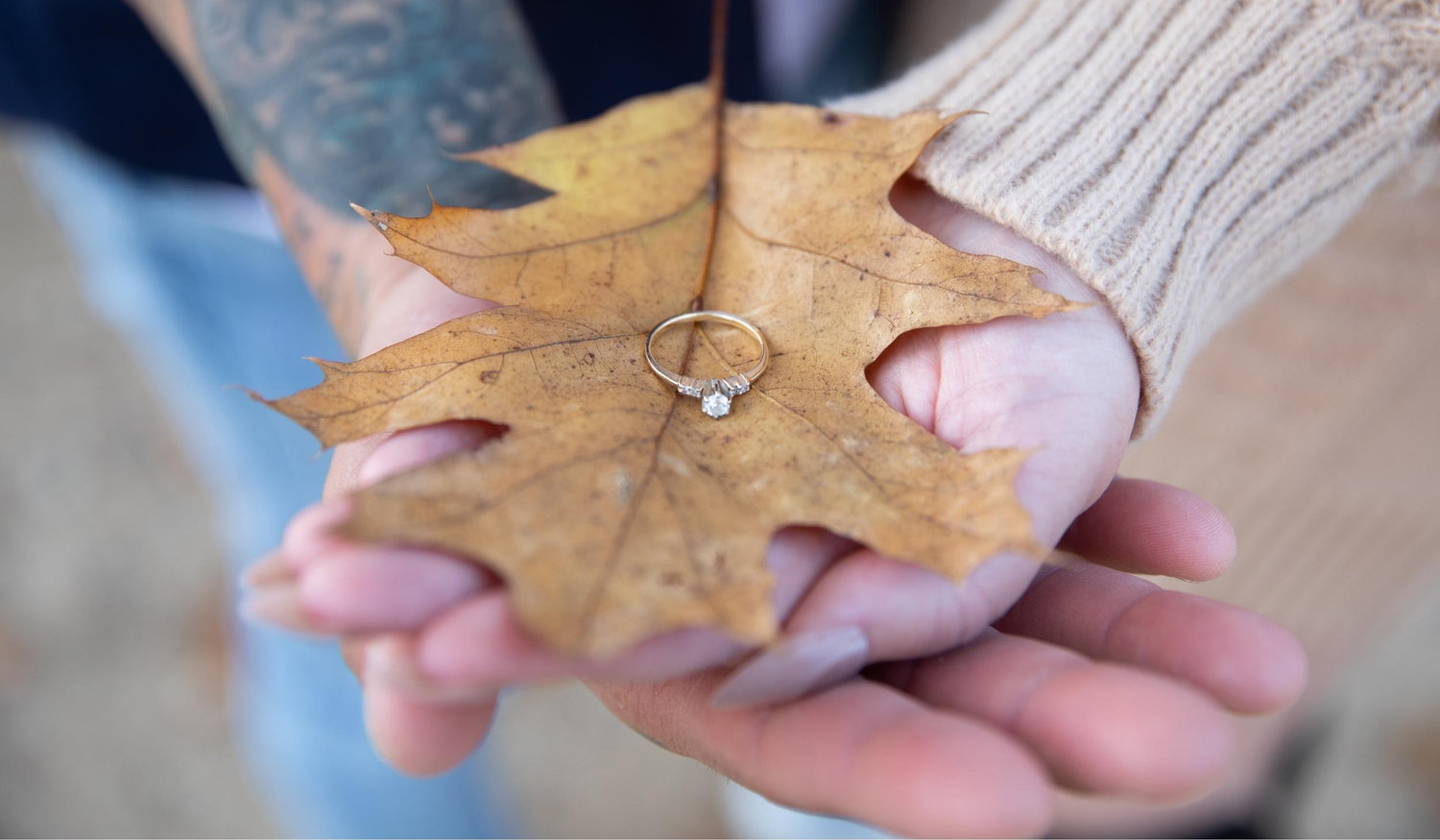 The Wedding Website of Aimee Plante and Cristiano Rosa