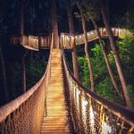 Treetop Skywalk at Anakeesta