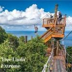 Tree Limin' Extreme Zipline St. Thomas