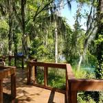 Three Sisters Springs