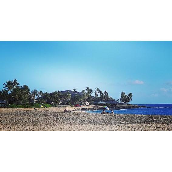 Hawaii 2020...proposal spot!!