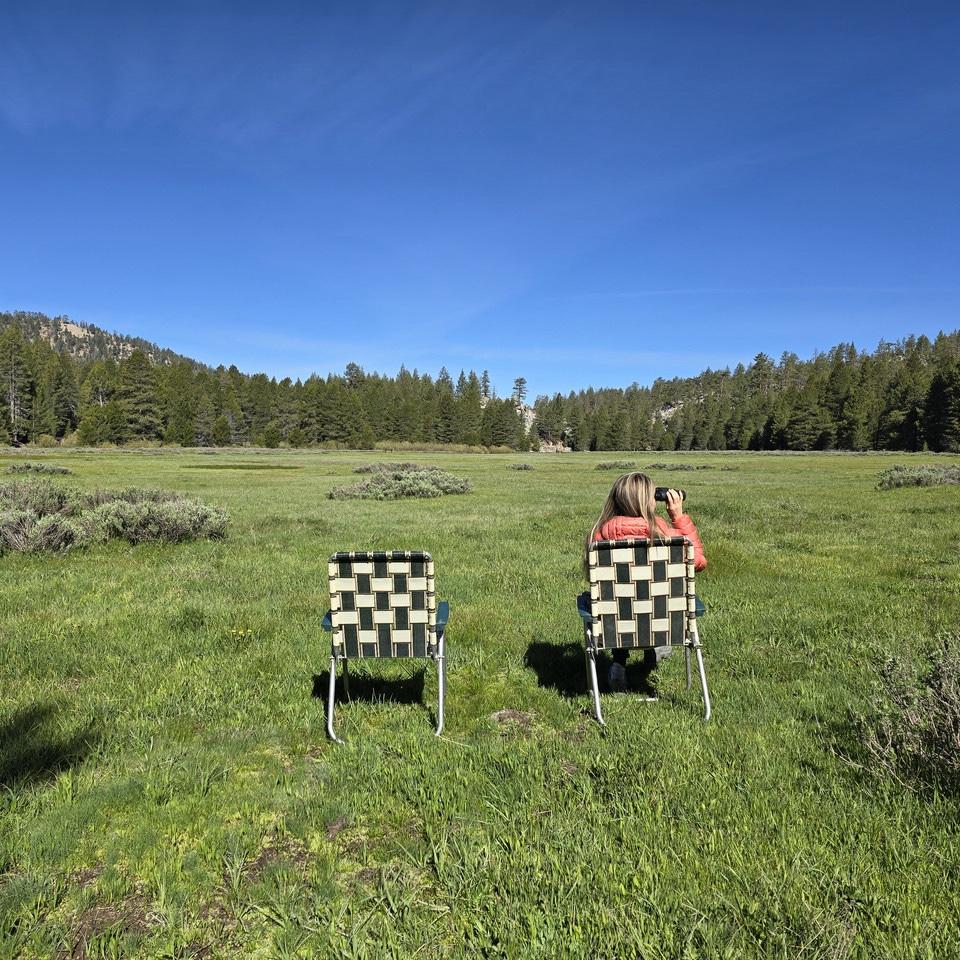 Camping in the Sierra Mountains 2024