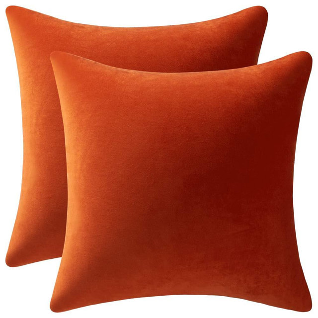 DEZENE Fall Couch Pillow Cases 18x18 Burnt Orange: 2 Pack Cozy Soft Velvet Square Throw Pillow Covers for Farmhouse Home Decor