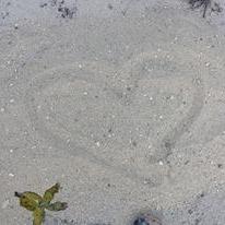 Wisconsin sand heart