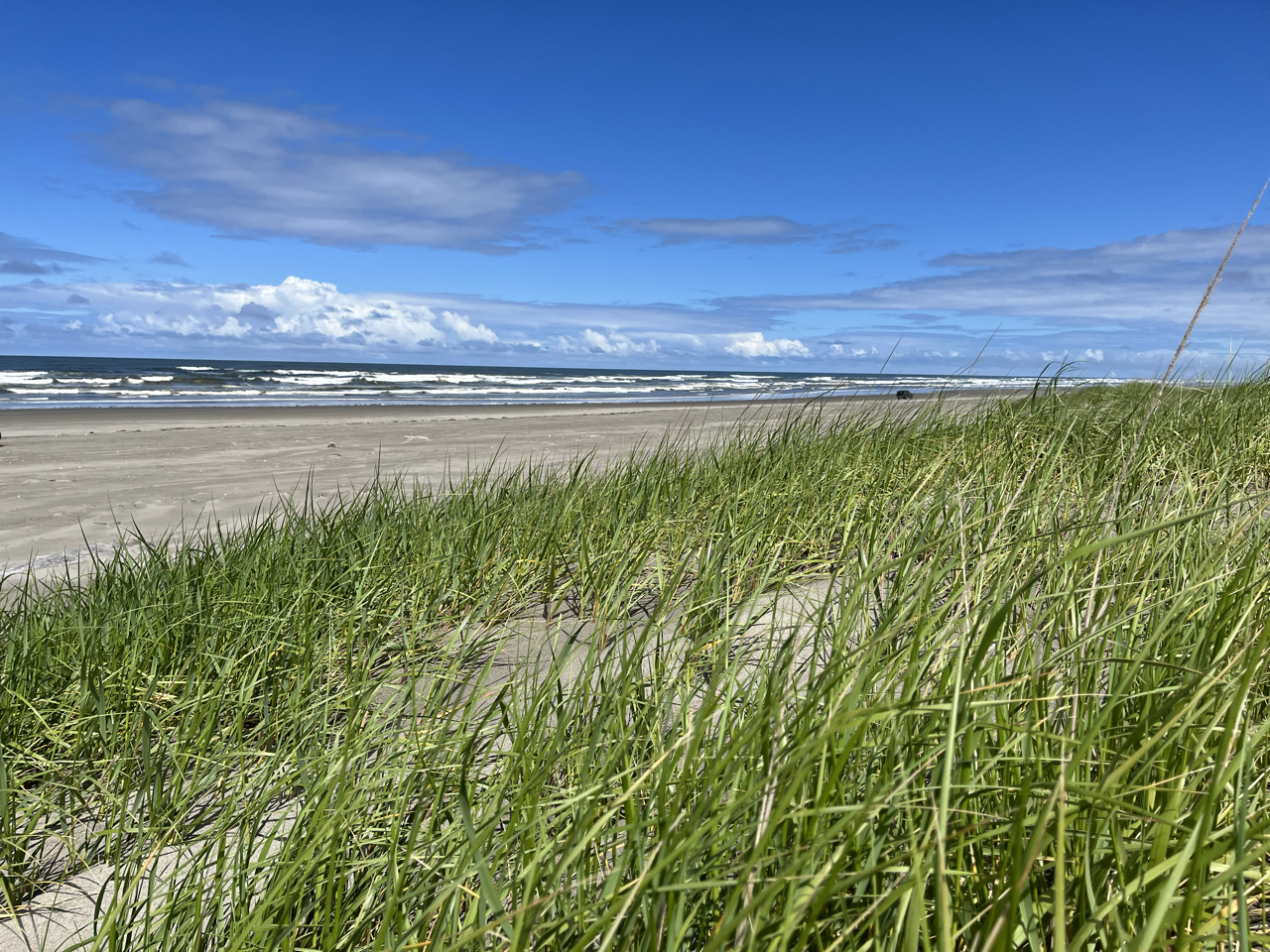 The Wedding Website of Britny Quinn and Elliot Quinn