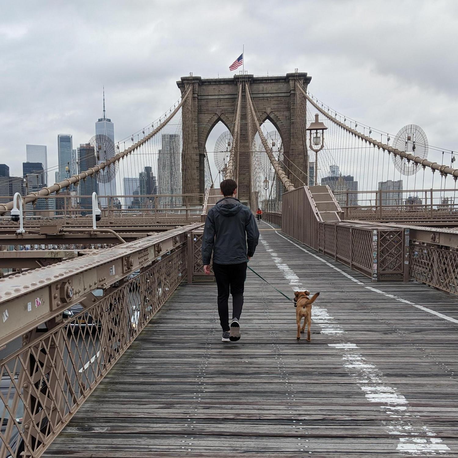 Walking across the Brooklyn Bridge.