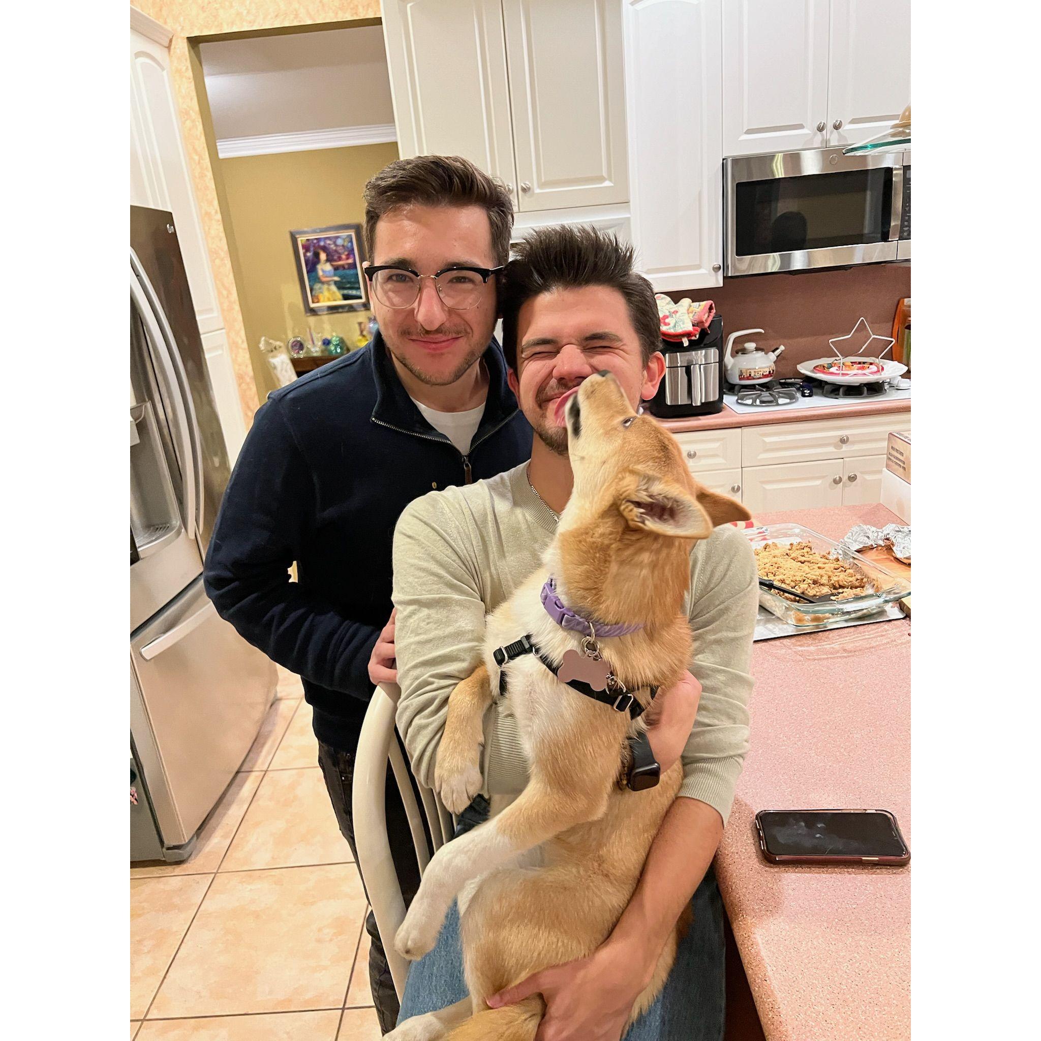 We got a puppy! Welcome to the family Dakota.