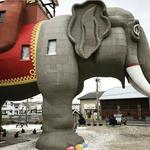 Lucy the Elephant