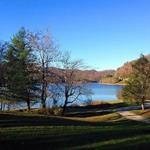 Martins Fork Lake