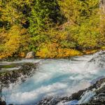 McKenzie River Trail