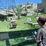 San Diego Zoo