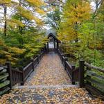 Seven Bridges Trail