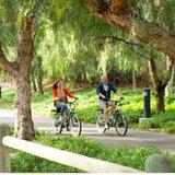 Rent Bikes and Explore the Island