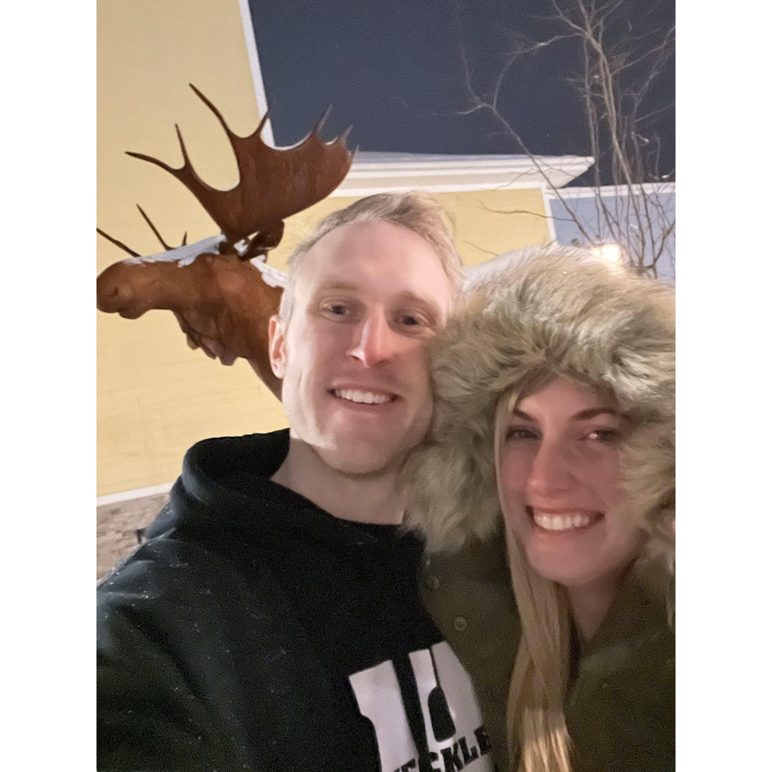 We found a Moose