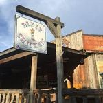 Dixie Chicken