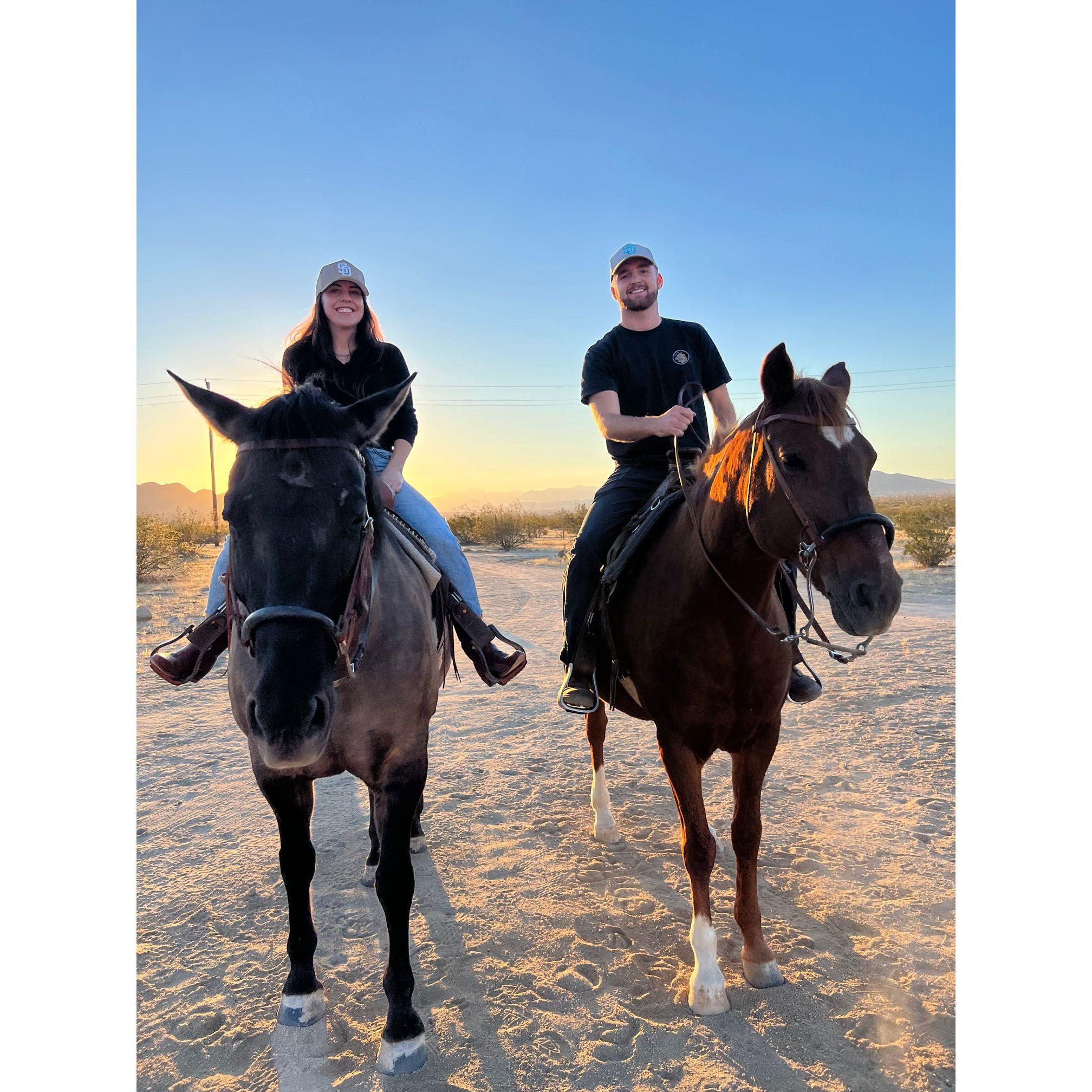 Horsin' around in Joshua Tree