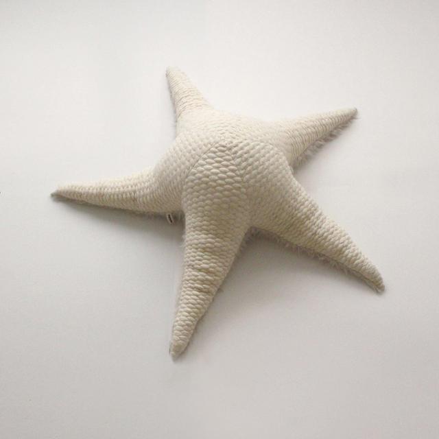 BigStuffed The Starfish