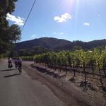 Wine Tasting in Sonoma