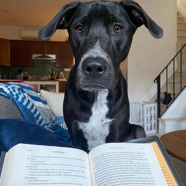 Add to Lara’s fantasy book collection