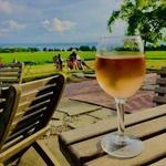 Zugibe Vineyards - Wine With A View.
