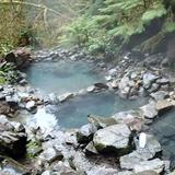 Terwilliger Hot Springs (Cougar Hot Springs)