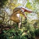 Museum of Life and Science