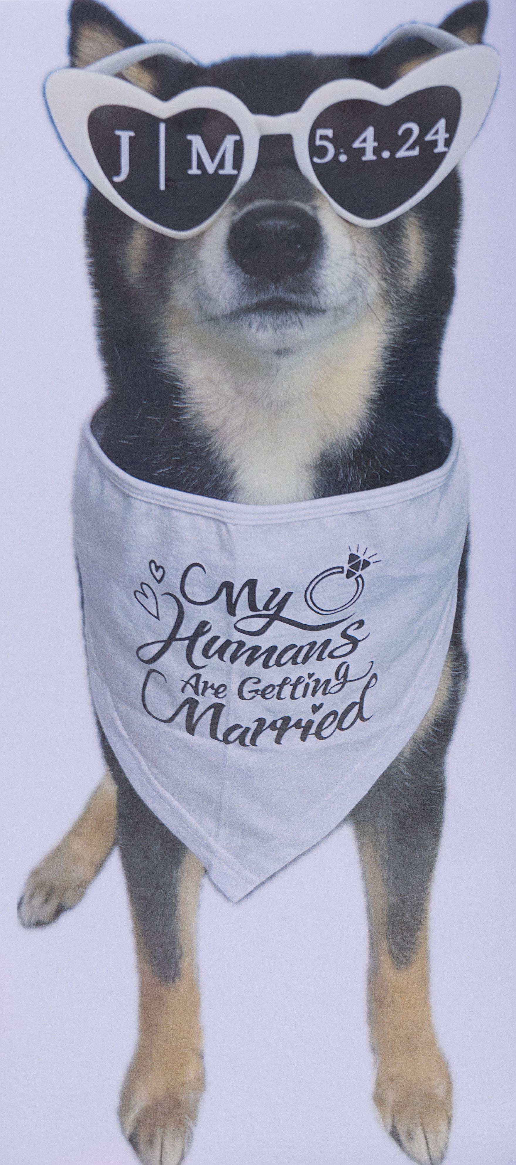 The Wedding Website of Melissa Dobrez and Jesse Gonzalez