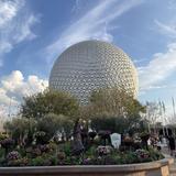 Walt Disney World®