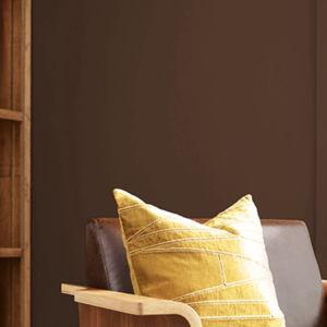 Duration Home® Interior Acrylic Latex Paint - Sherwin-Williams
