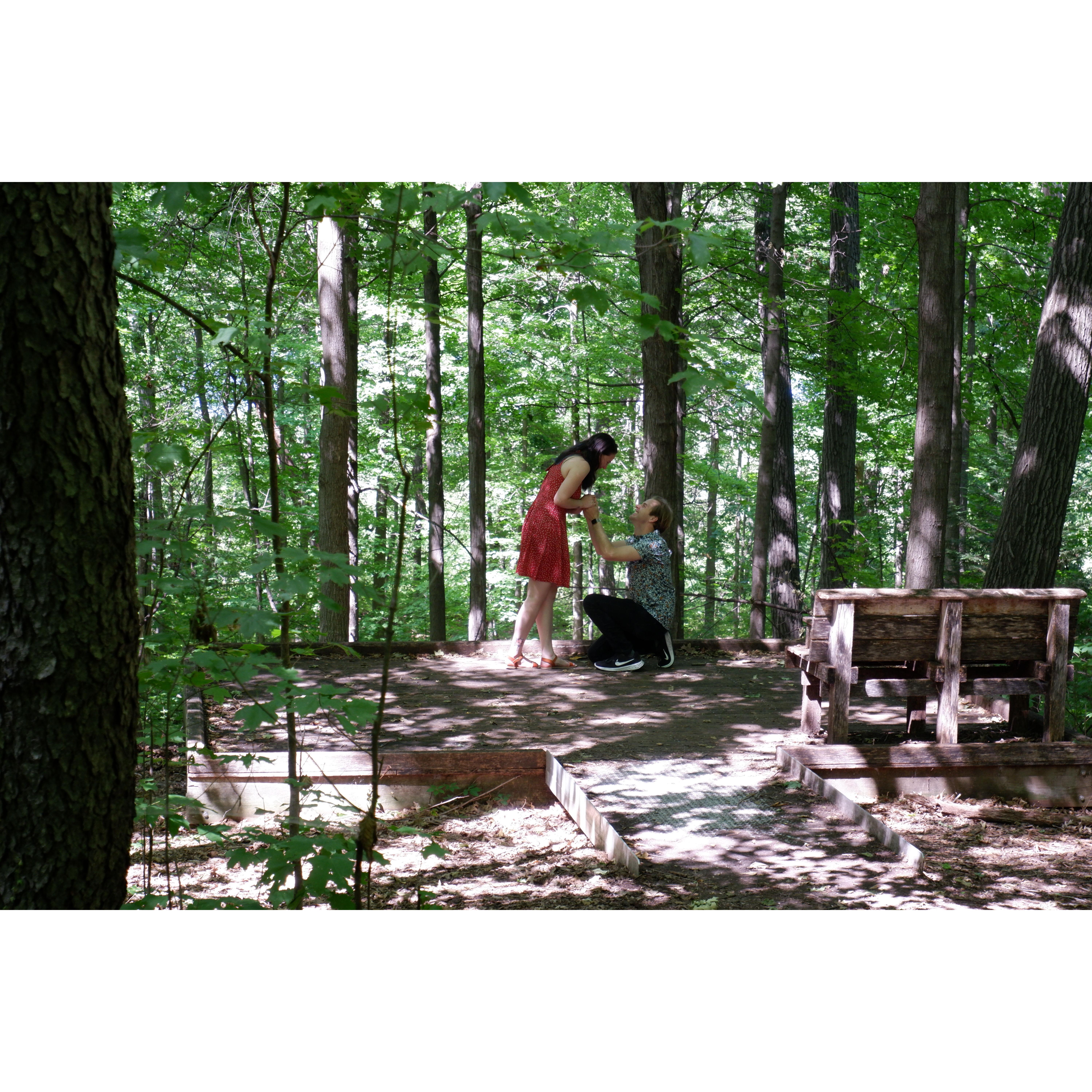 A little spot in the woods of the Madison Arboretum where we got officially engaged!