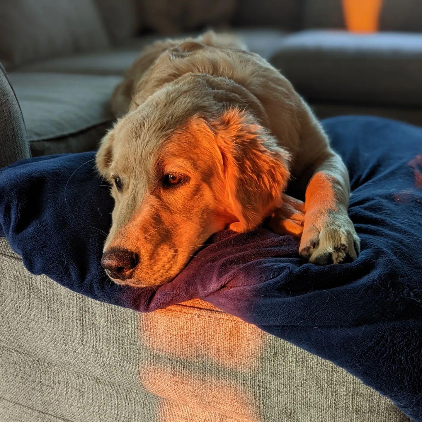 Our Golden, Legolas