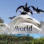 SeaWorld San Diego