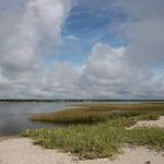Masonboro Island Reserve