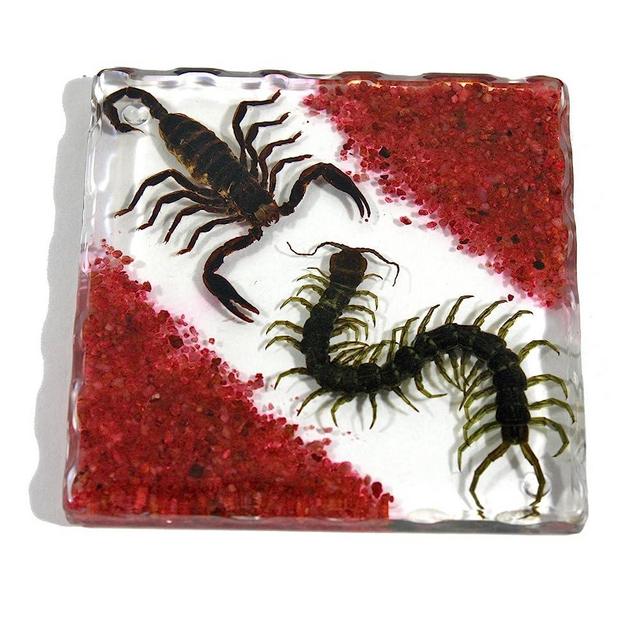 REALBUG Resin Coaster with Sands, Black Scorpion & Centipede