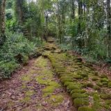 Caminho D'Ouro (The Gold Trail)