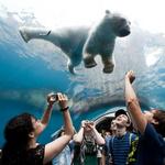 Pittsburgh Zoo & Aquarium