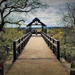 Arbor Hills Nature Preserve