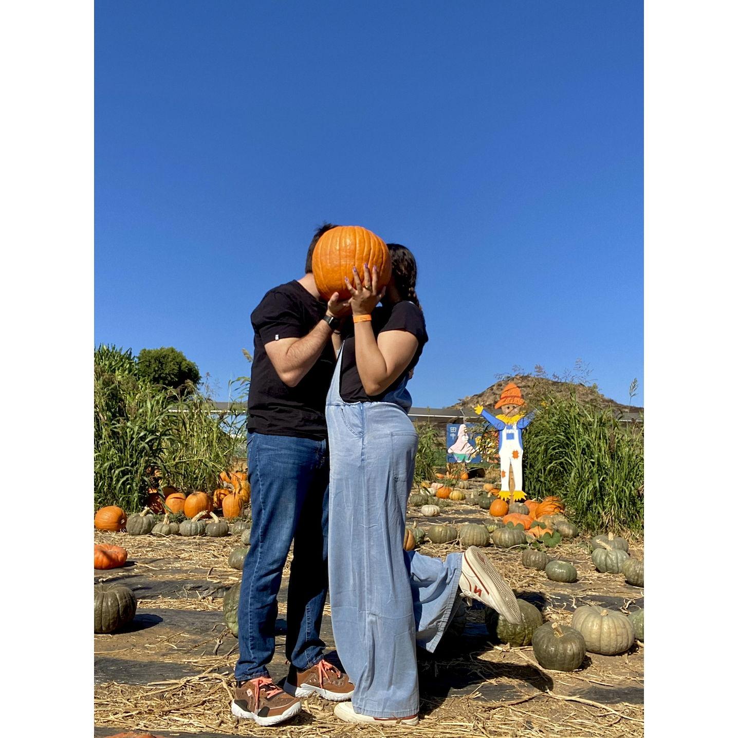 We're pregnant!