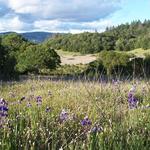 Trione-Annadel State Park